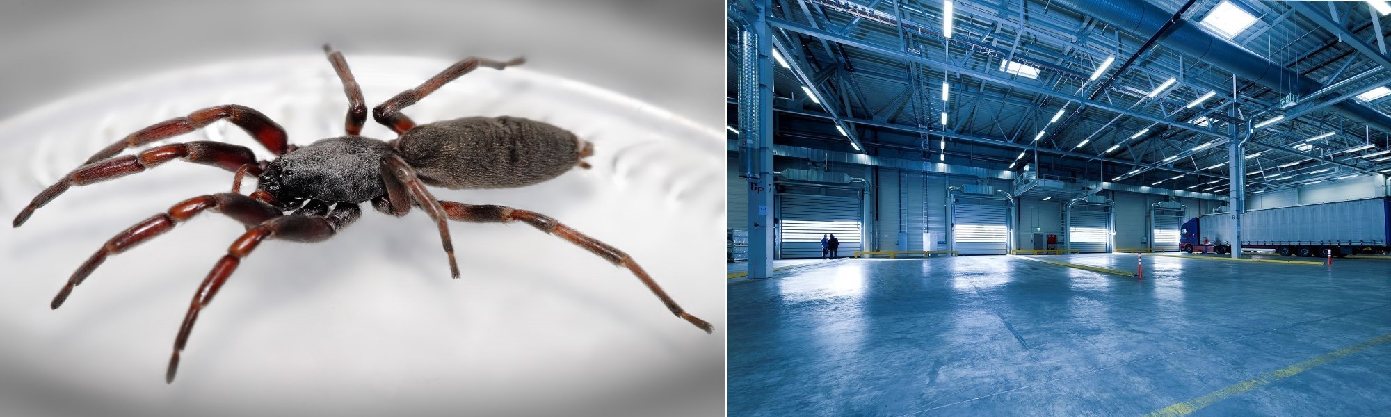 Water Blasting Wellington Building Maintenance Pest Control