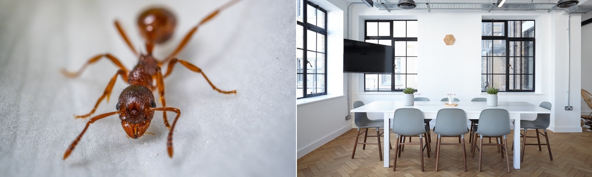 Water Blasting Wellington Building Maintenance Pest Control