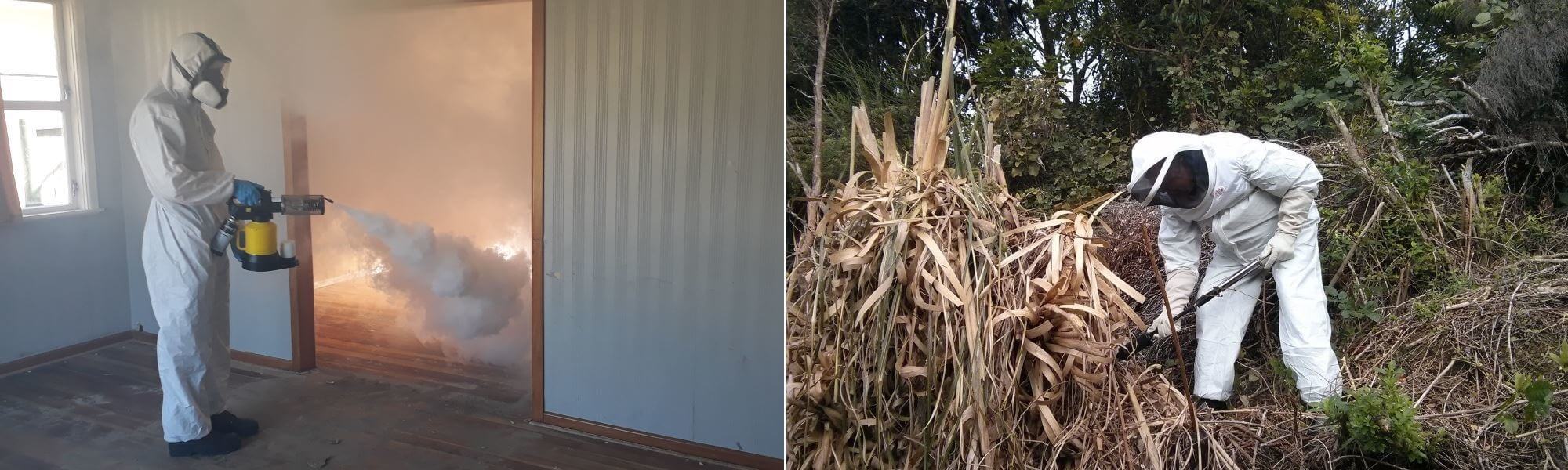 Pest Management Wellington Pest Control Lower Hutt, Porirua