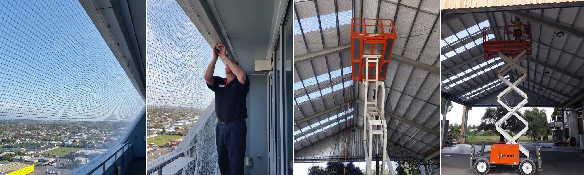 Pest Management Wellington Pest Control Lower Hutt, Porirua